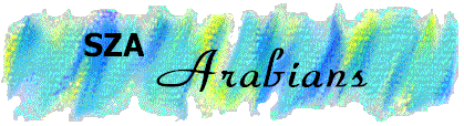 Arabian_Banner.gif (21490 bytes)